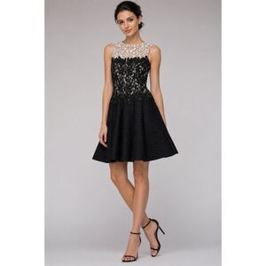 Tadashi Shoji | Dresses | Tadashi Shoji Fatiha Floral Lace And Chiffon Dress  | Poshmark